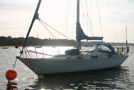 Contessa 32 La