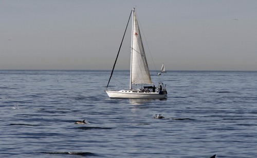 Environmental Groups Challenge Navy's Use Of Sonar In West Coast Training Exercises